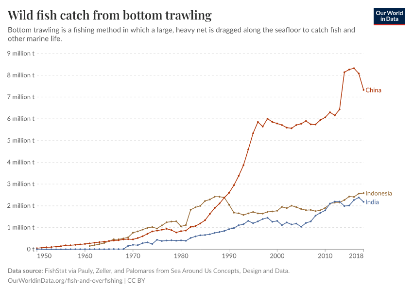 Wild fish catch from bottom trawling