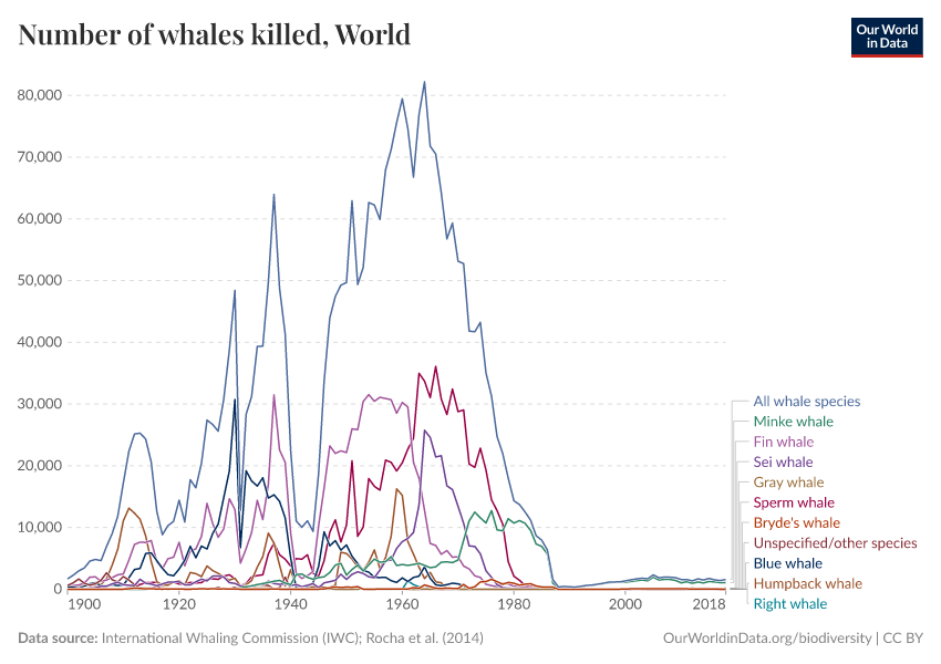 A thumbnail of the "Number of whales killed" chart